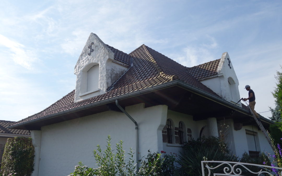 NETTOYAGE DE CHIEN-ASSIS