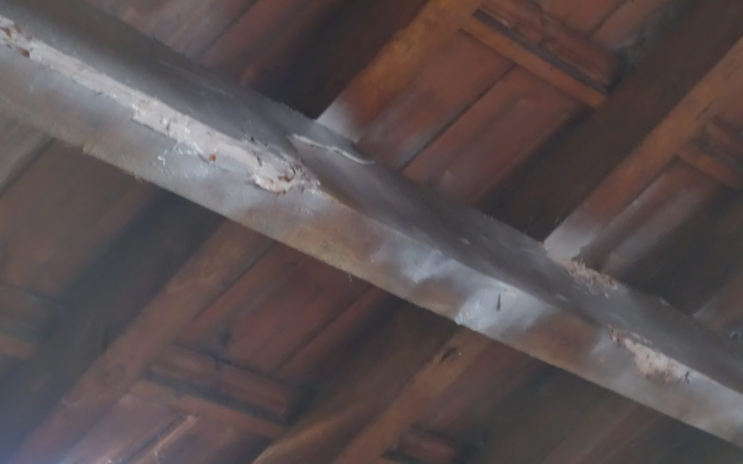 TRAITEMENT D&rsquo;UNE CHARPENTE