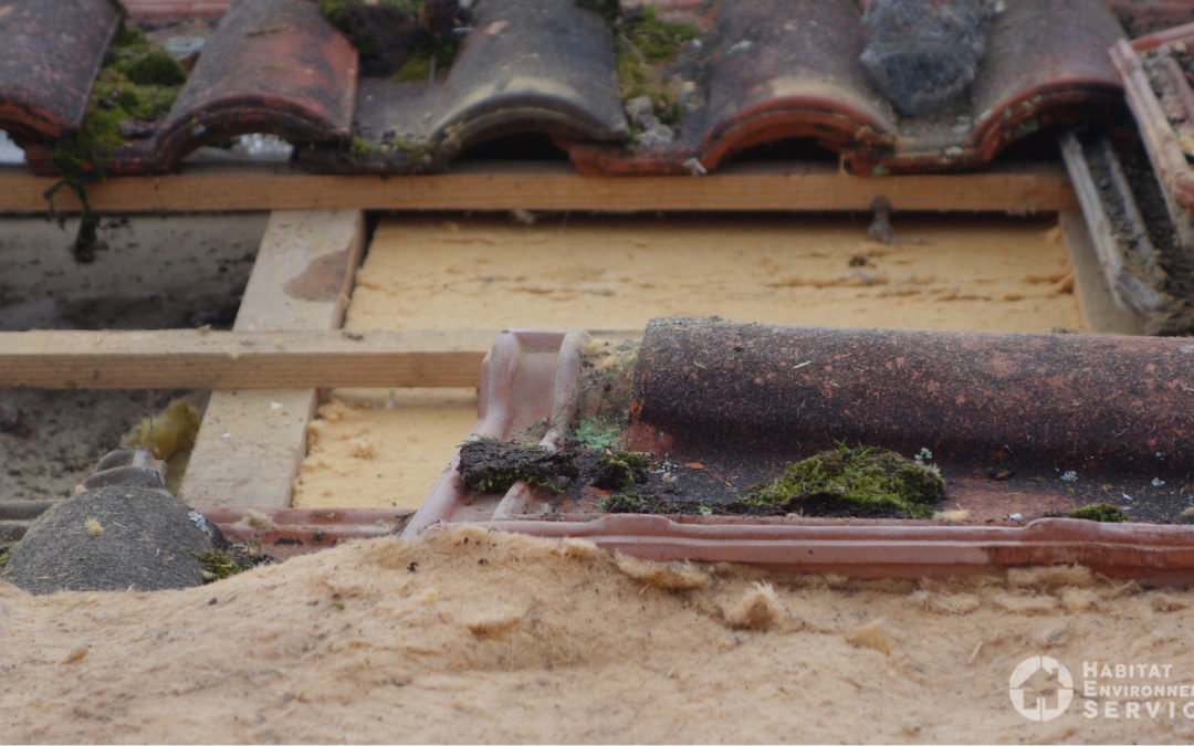 REMPLACEMENT ISOLATION & FENETRES DE TOIT