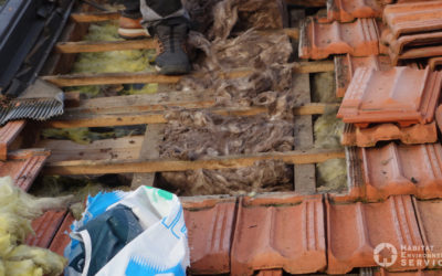 ISOLATION PAR DÉTUILAGE